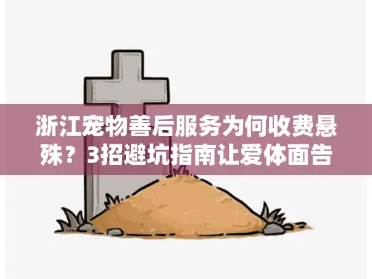 浙江宠物善后服务为何收费悬殊？3招避坑指南让爱体面告别