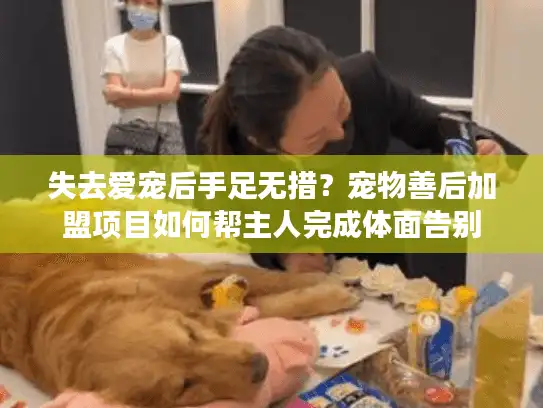失去爱宠后手足无措？宠物善后加盟项目如何帮主人完成体面告别
