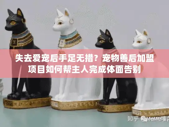 失去爱宠后手足无措？宠物善后加盟项目如何帮主人完成体面告别