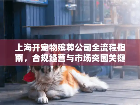 上海开宠物殡葬公司全流程指南，合规经营与市场突围关键点