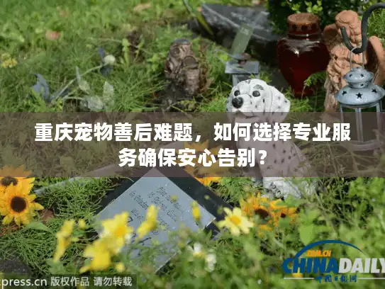 重庆宠物善后难题，如何选择专业服务确保安心告别？