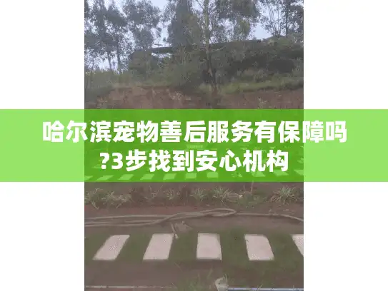 哈尔滨宠物善后服务有保障吗?3步找到安心机构