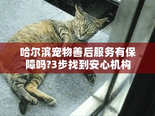 哈尔滨宠物善后服务有保障吗?3步找到安心机构