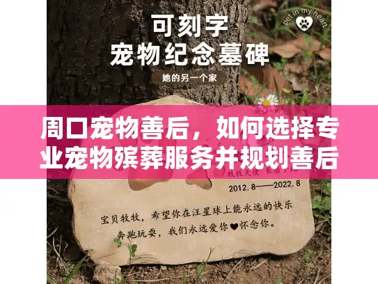 周口宠物善后，如何选择专业宠物殡葬服务并规划善后仪式？