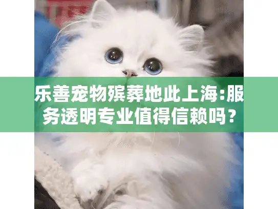 乐善宠物殡葬地此上海:服务透明专业值得信赖吗？