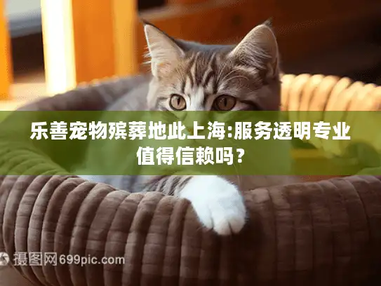 乐善宠物殡葬地此上海:服务透明专业值得信赖吗？