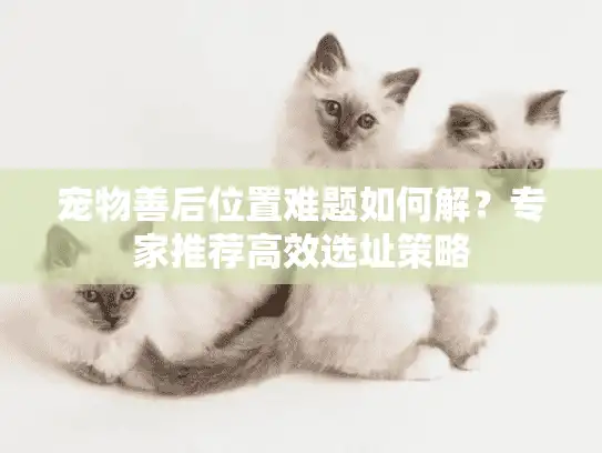 宠物善后位置难题如何解？专家推荐高效选址策略