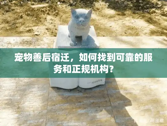 宠物善后宿迁，如何找到可靠的服务和正规机构？