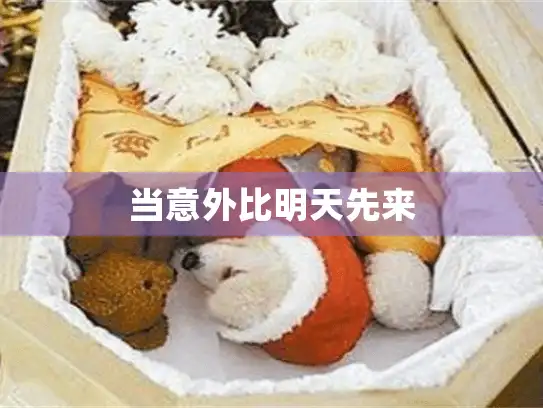 当意外比明天先来