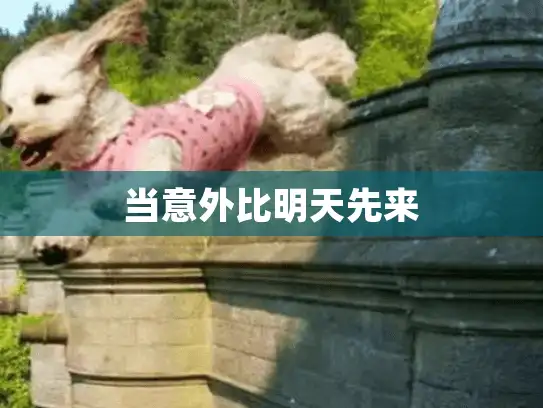 当意外比明天先来