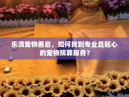 乐清宠物善后，如何找到专业且贴心的宠物殡葬服务？