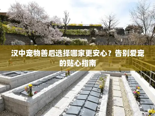 汉中宠物善后选择哪家更安心？告别爱宠的贴心指南