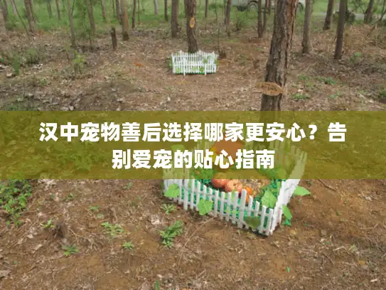 汉中宠物善后选择哪家更安心？告别爱宠的贴心指南