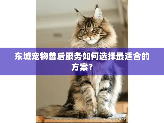 东城宠物善后服务如何选择最适合的方案？