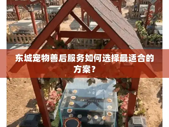 东城宠物善后服务如何选择最适合的方案？