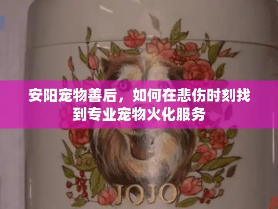 安阳宠物善后，如何在悲伤时刻找到专业宠物火化服务