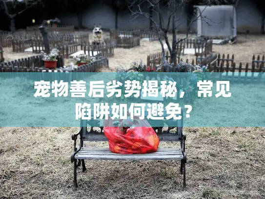 宠物善后劣势揭秘，常见陷阱如何避免？