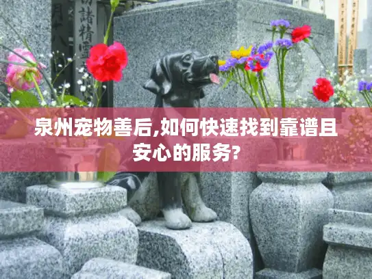 泉州宠物善后,如何快速找到靠谱且安心的服务?