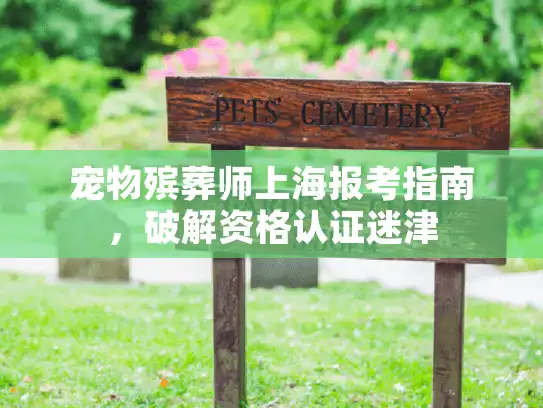 宠物殡葬师上海报考指南，破解资格认证迷津