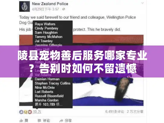 陵县宠物善后服务哪家专业？告别时如何不留遗憾