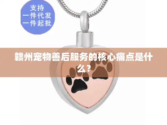赣州宠物善后服务的核心痛点是什么？