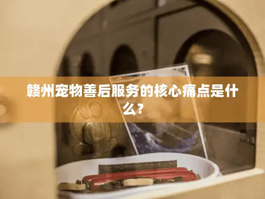 赣州宠物善后服务的核心痛点是什么？