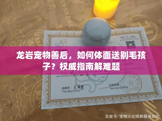 龙岩宠物善后，如何体面送别毛孩子？权威指南解难题