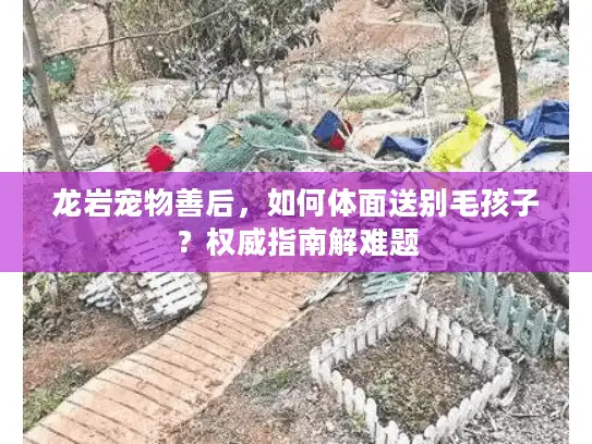 龙岩宠物善后，如何体面送别毛孩子？权威指南解难题