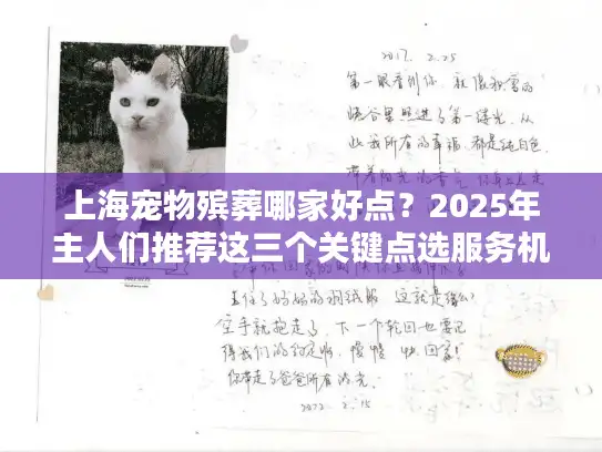 上海宠物殡葬哪家好点？2025年主人们推荐这三个关键点选服务机构