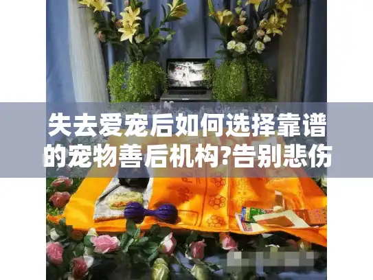 失去爱宠后如何选择靠谱的宠物善后机构?告别悲伤的避坑指南