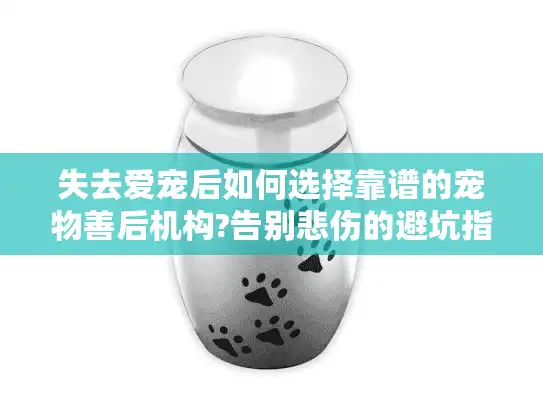 失去爱宠后如何选择靠谱的宠物善后机构?告别悲伤的避坑指南