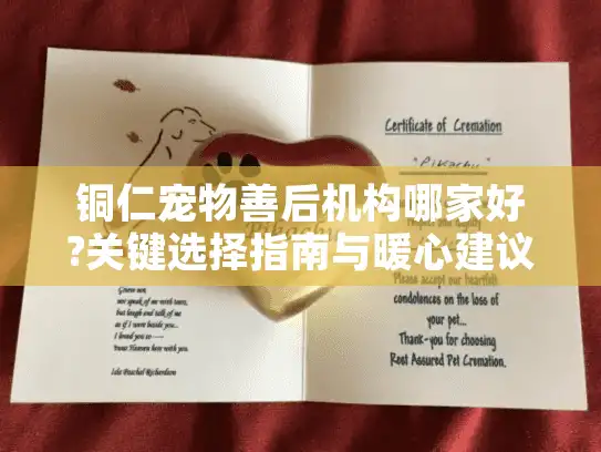 铜仁宠物善后机构哪家好?关键选择指南与暖心建议