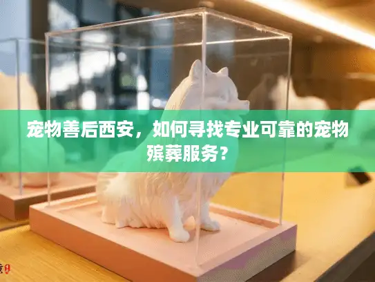 宠物善后西安，如何寻找专业可靠的宠物殡葬服务？