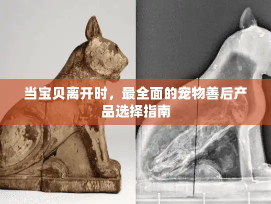当宝贝离开时，最全面的宠物善后产品选择指南