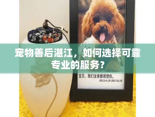 宠物善后湛江，如何选择可靠专业的服务？