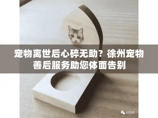宠物离世后心碎无助？徐州宠物善后服务助您体面告别