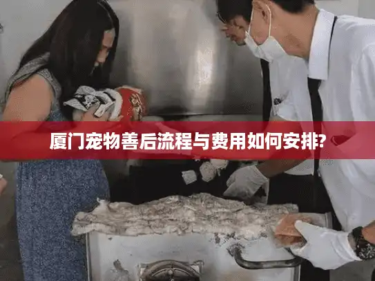 厦门宠物善后流程与费用如何安排?