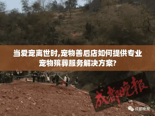 当爱宠离世时,宠物善后店如何提供专业宠物殡葬服务解决方案?