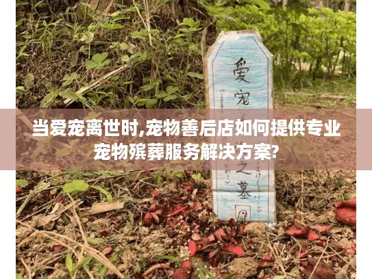 当爱宠离世时,宠物善后店如何提供专业宠物殡葬服务解决方案?