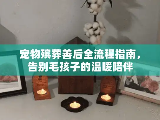 宠物殡葬善后全流程指南，告别毛孩子的温暖陪伴