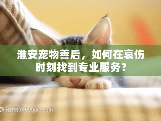淮安宠物善后，如何在哀伤时刻找到专业服务？