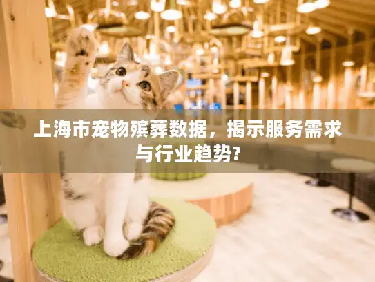 上海市宠物殡葬数据，揭示服务需求与行业趋势?