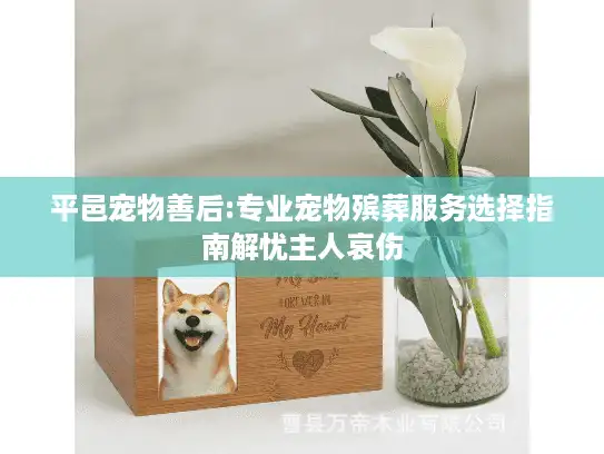 平邑宠物善后:专业宠物殡葬服务选择指南解忧主人哀伤