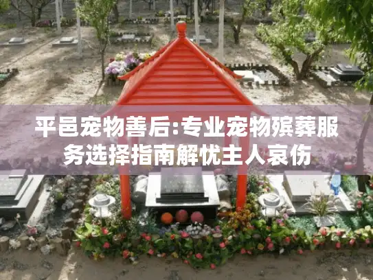 平邑宠物善后:专业宠物殡葬服务选择指南解忧主人哀伤