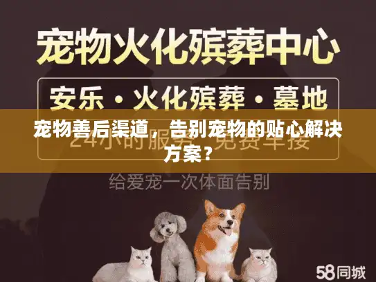 宠物善后渠道，告别宠物的贴心解决方案？