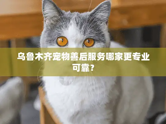 乌鲁木齐宠物善后服务哪家更专业可靠？