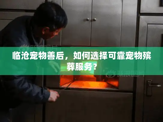 临沧宠物善后，如何选择可靠宠物殡葬服务？