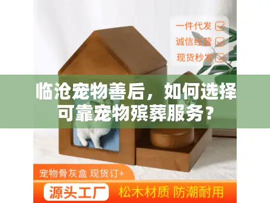 临沧宠物善后，如何选择可靠宠物殡葬服务？