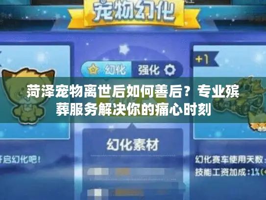 菏泽宠物离世后如何善后？专业殡葬服务解决你的痛心时刻