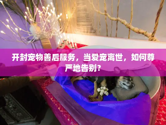 开封宠物善后服务，当爱宠离世，如何尊严地告别？